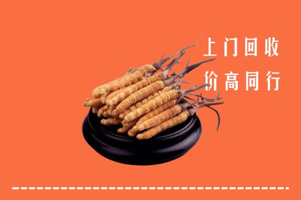 高价求购：甘孜德格回收散虫草