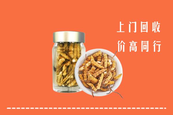 甘孜德格回收冬虫夏草